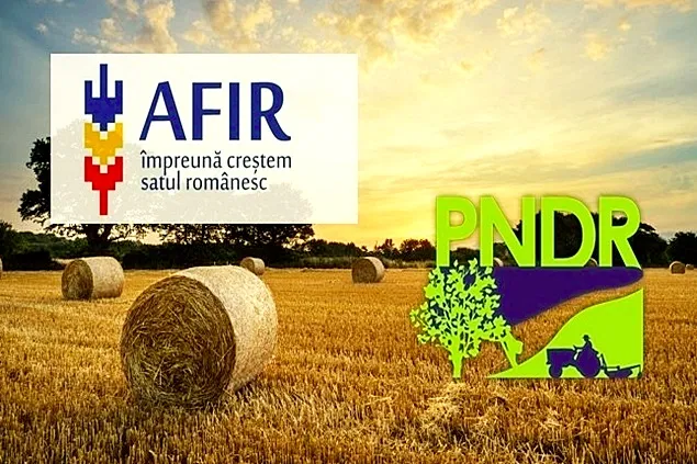 AFIR a publicat Ghidul Strategiilor de Dezvoltare Locală prin submăsura 19.1