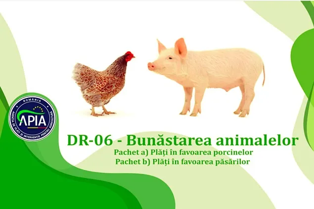 APIA: Depunerea  deconturilor aferente trim. I pentru Intervenția DR 06 – „Bunăstarea animalelor”
