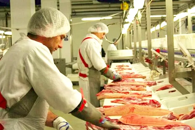 The Competition Council approved the takeover of Goodies Meat by Elit