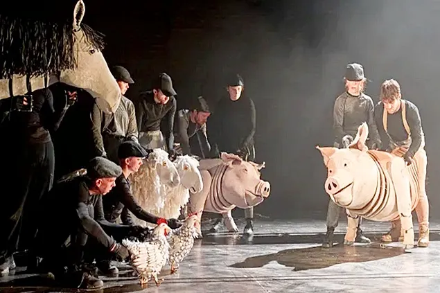 INS: Efectivele de animale existente la 1 decembrie 2022