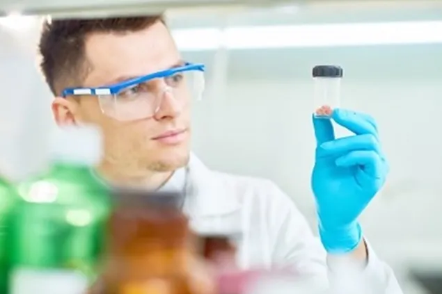 Research: Cultured meat emits 25% more CO2e than conventional beef