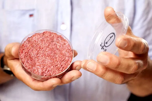 The commercialization of cultured meat is getting closer