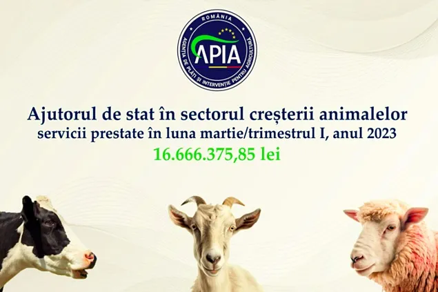 Sprijin financiar de peste 16,6 milioane lei pentru crescătorii de animale