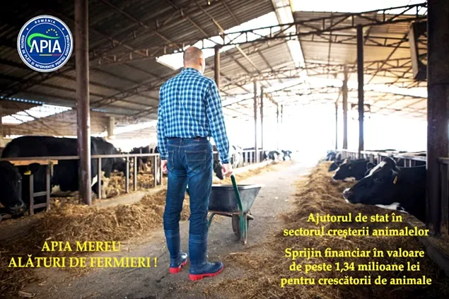 Sprijin financiar în valoare de peste 1,34 milioane lei pentru crescătorii de animale