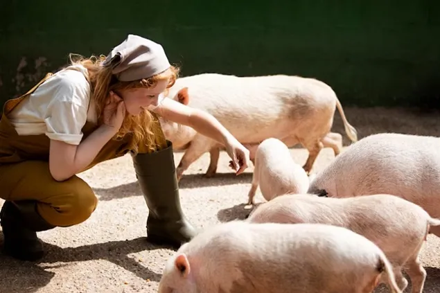 OUG privind instituirea unei scheme de ajutor de stat în sectorul creșterii animalelor