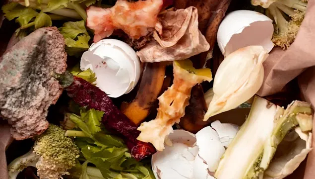 The Relationship Between Food Waste and Carbon Emissions