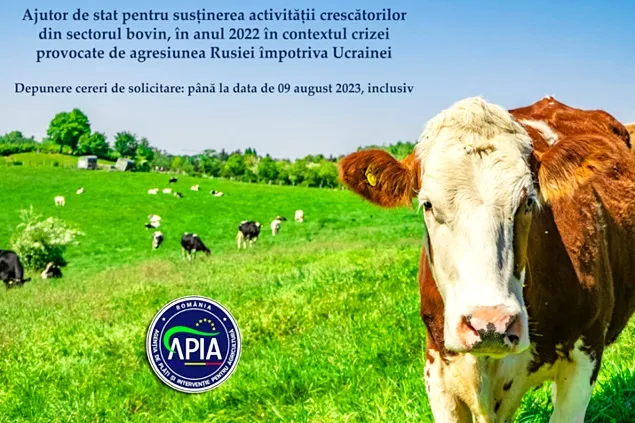 APIA primește cereri de ajutor de stat pentru susținerea crescătorilor din sectorul bovin