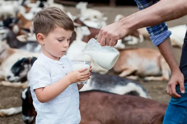 Rabobank: Cererea de lactate din China va duce la creșterea prețurilor globale ale laptelui