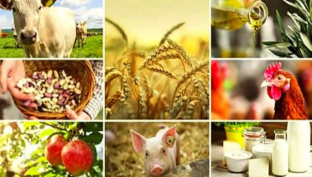 EU Market Observatory: Cum a evoluat agrozootehnia europeană în primăvara anului 2023