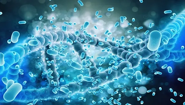 A new study links the consumption of live bacteria in food to better health