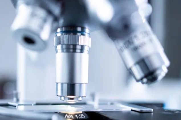 The World Farmers' Organization strongly rejects laboratory-grown protein foods