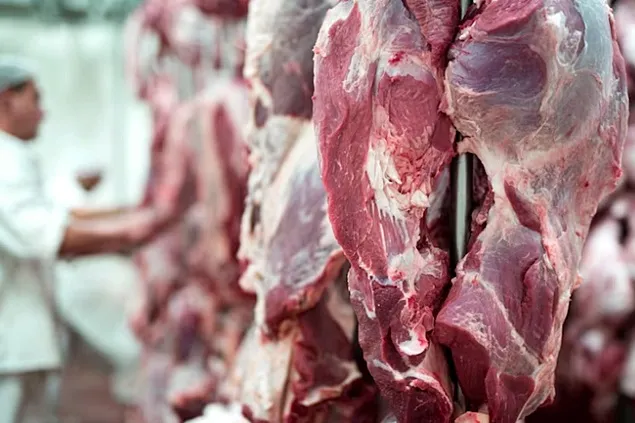 DG Agri: Producția de carne în S1