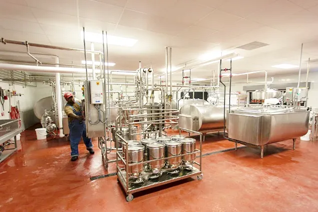 Management of Cheese Processing from Raw Milk