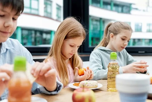 ANSVSA inspectors check the food blocks in educational institutions
