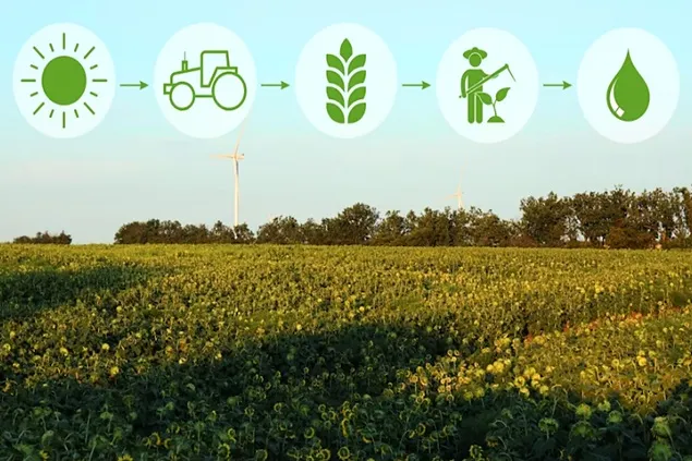 Parlamenul European insistă asupra monetizării carbonului din agricultură