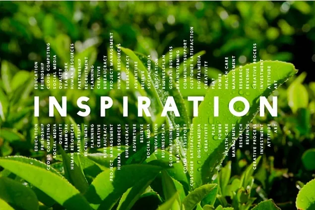 Danone is stepping up its regenerative agriculture programs with dairy farmers