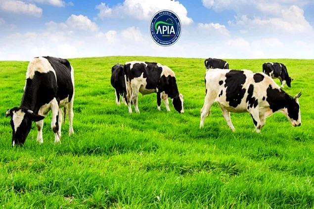 Sprijin financiar în valoare de peste 16,9 milioane lei pentru crescătorii de animale