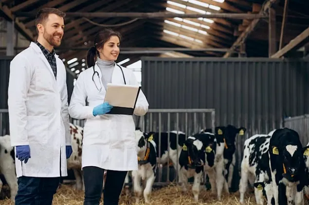 Cum se pot pregăti fermierii producători de lapte pentru revoluția AgriTech