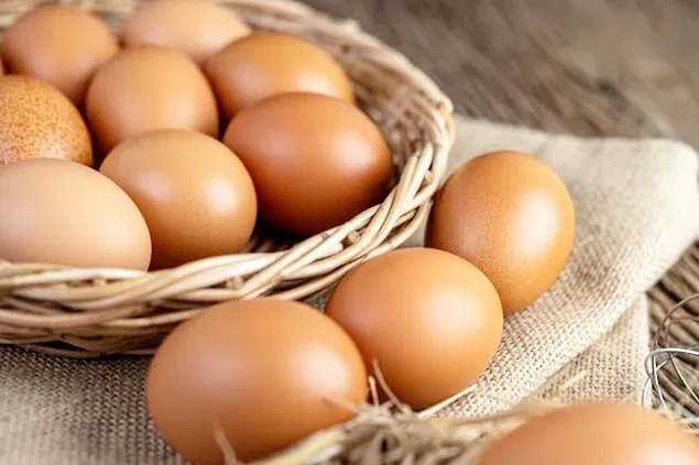 Egg sorting, packaging and storage unit, financed by AFIR with over 800,000 euros