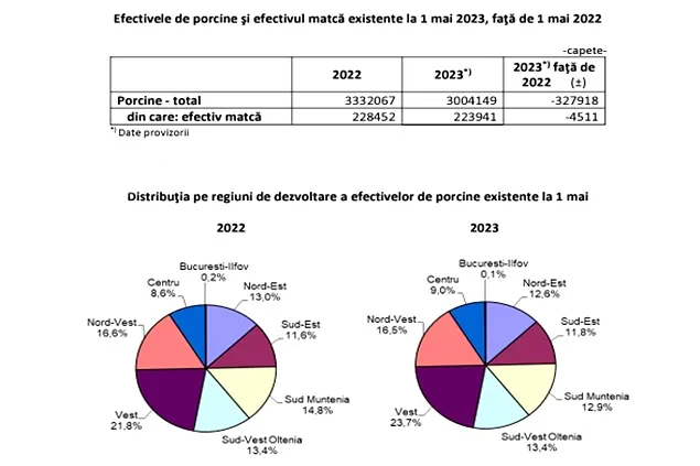 INS: Efectivele de porcine la 1 mai 2023