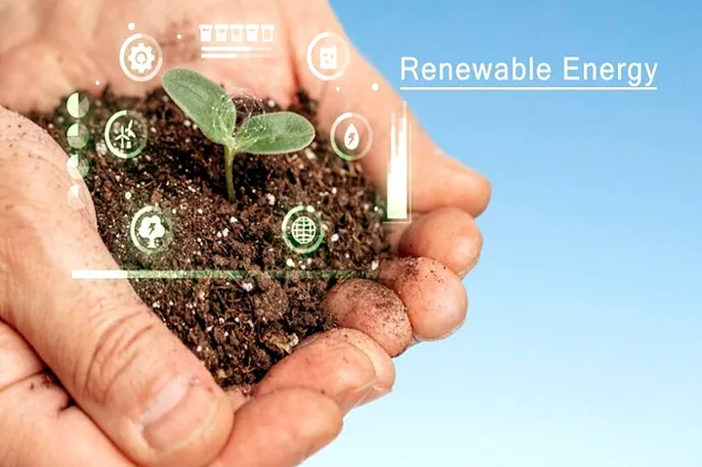 Green energy for the Romanian agro-industry