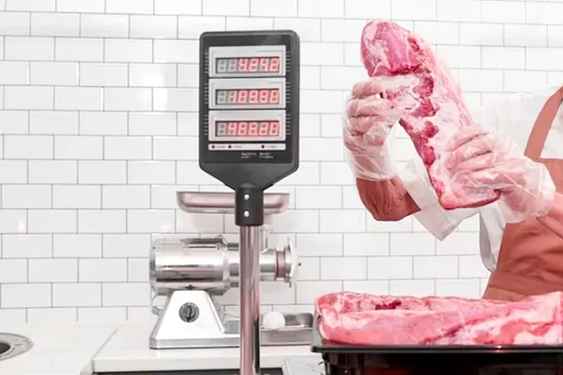 Control Action by ANSVSA Inspectors in Refrigerated Warehouses with Animal-Origin Food Products
