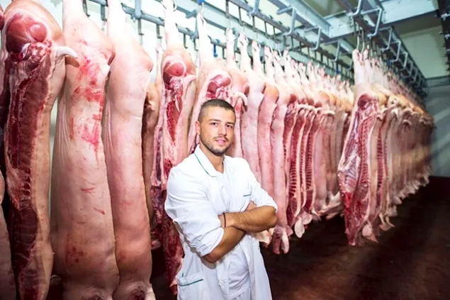 INS: Sacrificările de animale și producția de carne în luna august 2023