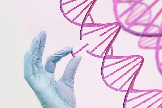Strategies for using stem cells in cultured meat production