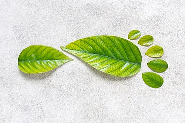 Reducing the environmental footprint of the meat, milk, egg and fish sectors has become mandatory