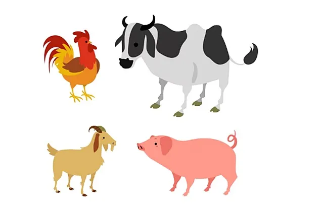 The Eurobarometer shows how important animal welfare is to Europeans