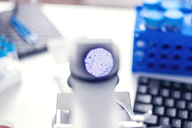 Production of milk obtained by cell culture has begun. It will be in stores from 2028