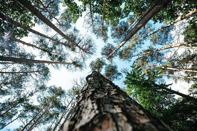 InterPack: In 2023, packaging production 2023 focused on conserving resources wherever possible