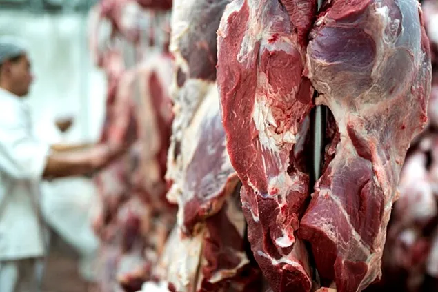 INS: Sacrificările de animale și păsări și producția de carne în luna octombrie 2023