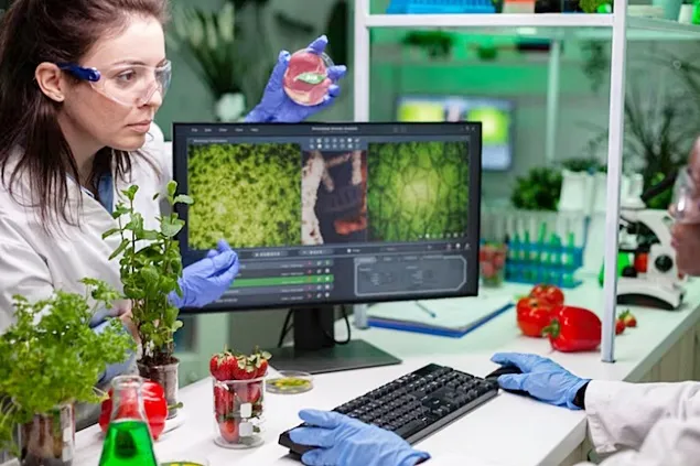 Cele mai importante invenții ale Industriei Alimentare globale din 2023
