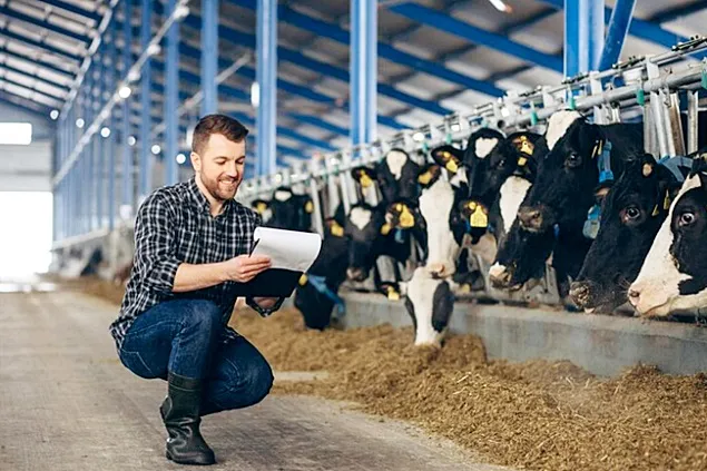 C.E.: Perspectivele producției de lapte, lactate și carne în Uniunea Europeană în anul 2024