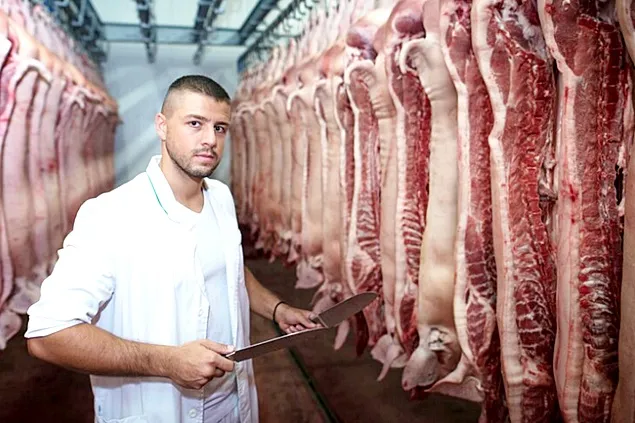 Rabobank: În 2024 producția de porci va crește constant dar consumul va fi slab