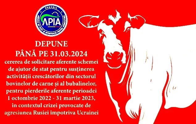 APIA: Cererile pentru susținerea sectorului bovinelor de carne și al bubalinelor se depun până pe 21.03.2024