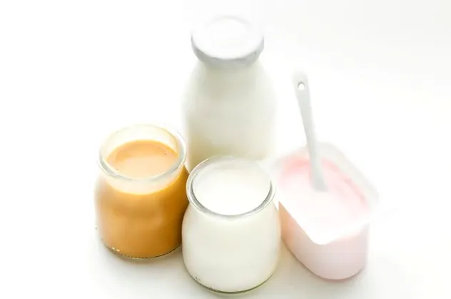 2024 Flavor and Color Trends in Dairy Products