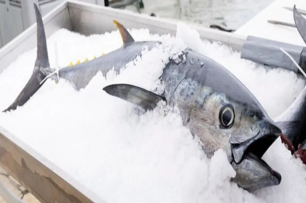 Overfishing in the Black Sea has fallen to its lowest level in ten years