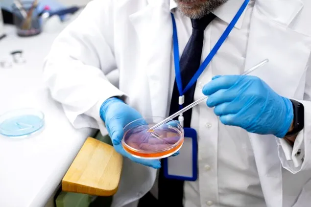 Austria, France and Italy are leading the drive against lab-grown meat