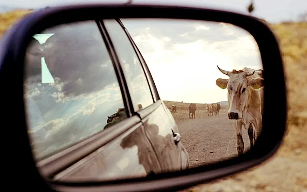 Noua strategie pentru semnarea tratatului Mercosur: Ia vaca, dă-mi mașina