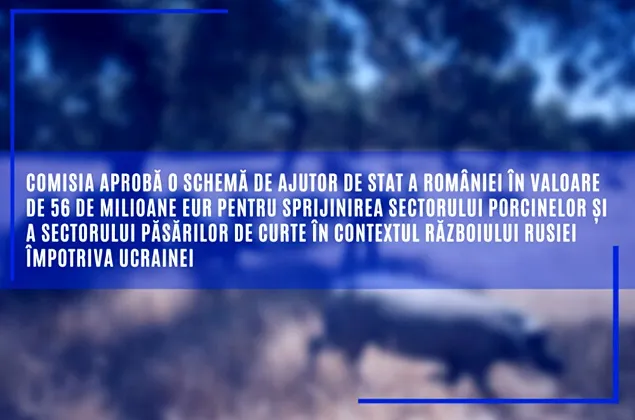 CE a aprobat 56 de milioane de euro pentru sectoarele de suine și păsări din România