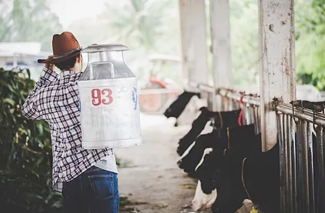 INS: Evolution of milk and dairy production
