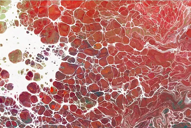 Bovine cells engineered to produce their own growth factors in cultured meat production
