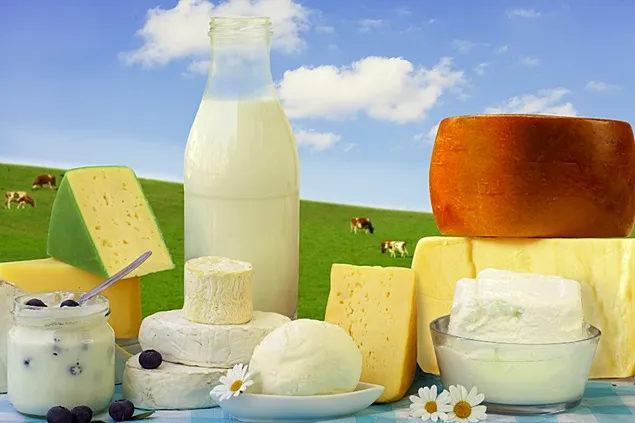 Rabobank: The Growth of Milk and Dairy Consumption is Still Awaited