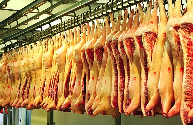 Sacrificările de animale și păsări și producția de carne