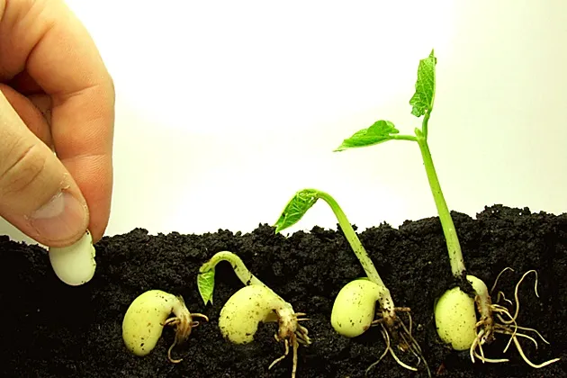The prospects for European agriculture remain uncertain