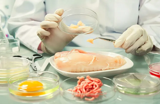 EFSA launched the "Safe2Eat" 2024 campaign