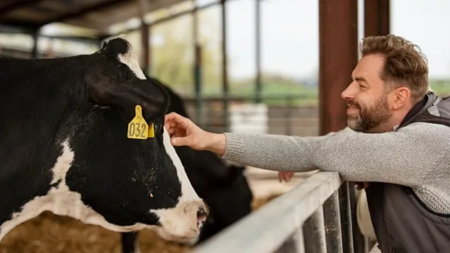 De ce etichetarea actuală privind bunăstarea animalelor nu este suficientă