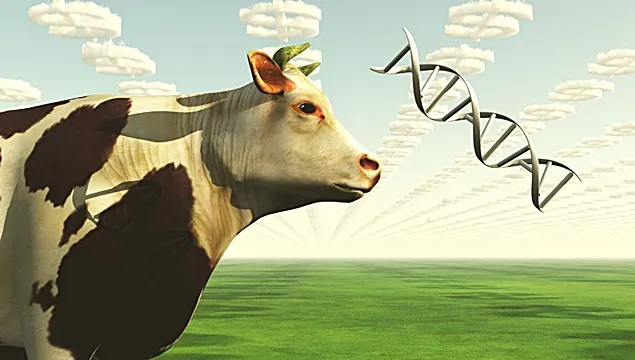 Sectorul european agroalimentar cere reglementarea corectă a regimului biotehnologiilor